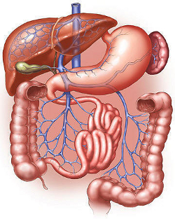 CIROZA HEPATICA